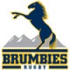 ACT Brumbies